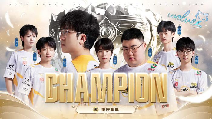 不仅全面提