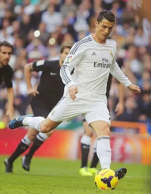 凭借强壮的 凭借强壮的