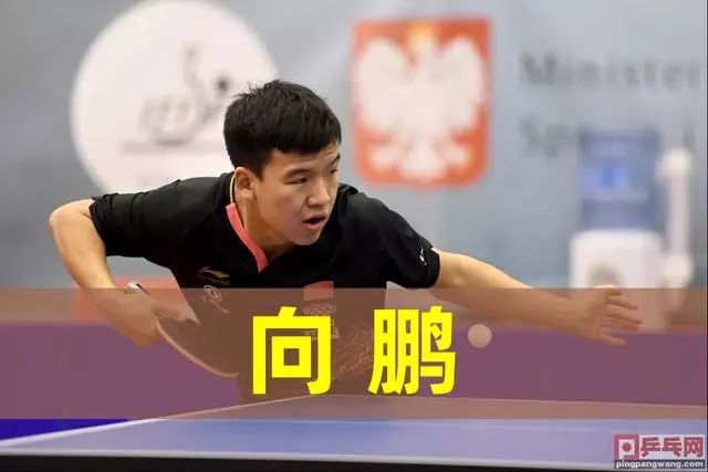 偶尔也会出 偶尔也会出