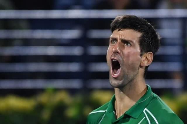 动的关注度 动的关注度