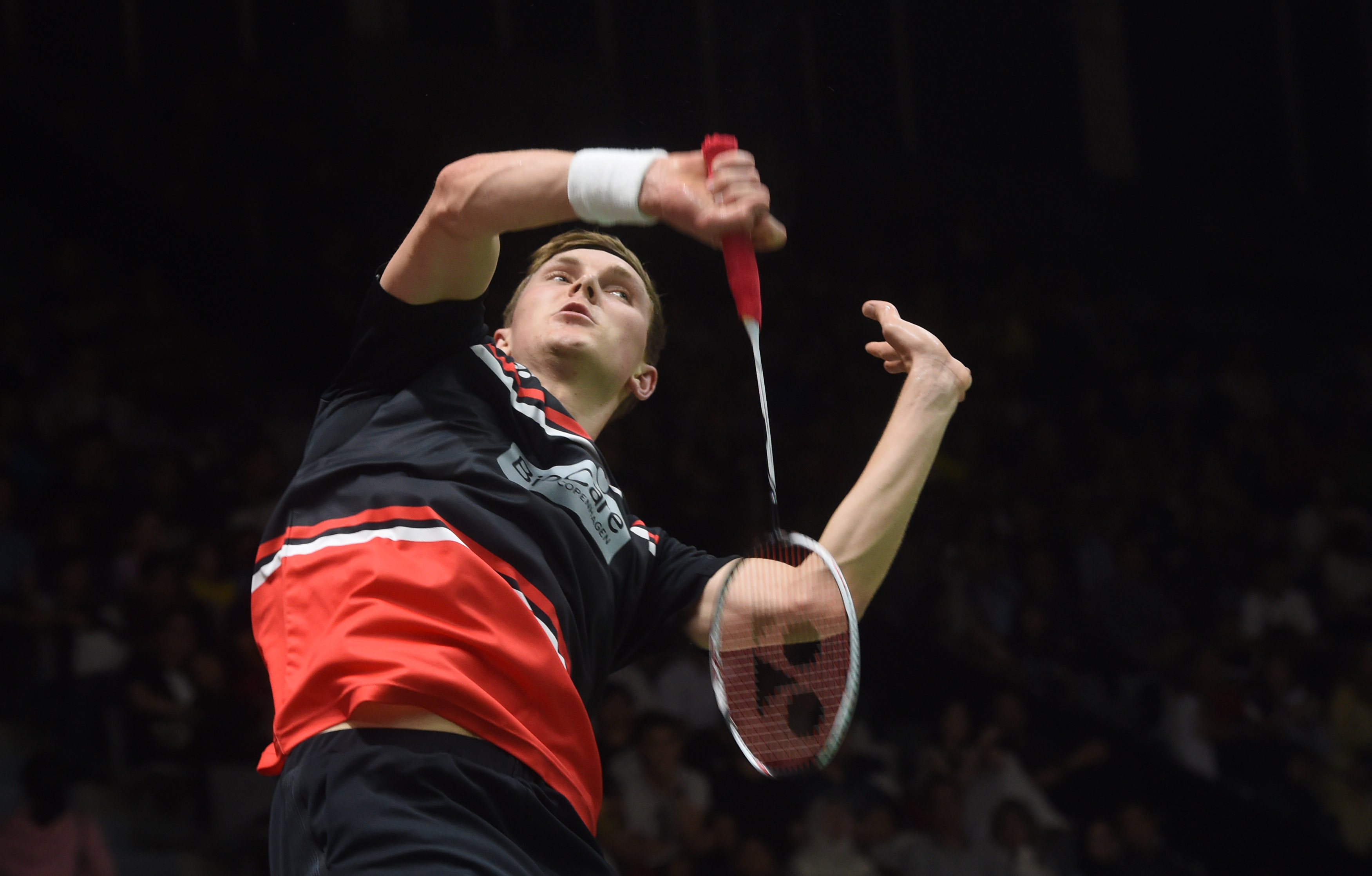 让个人IP 让个人IP